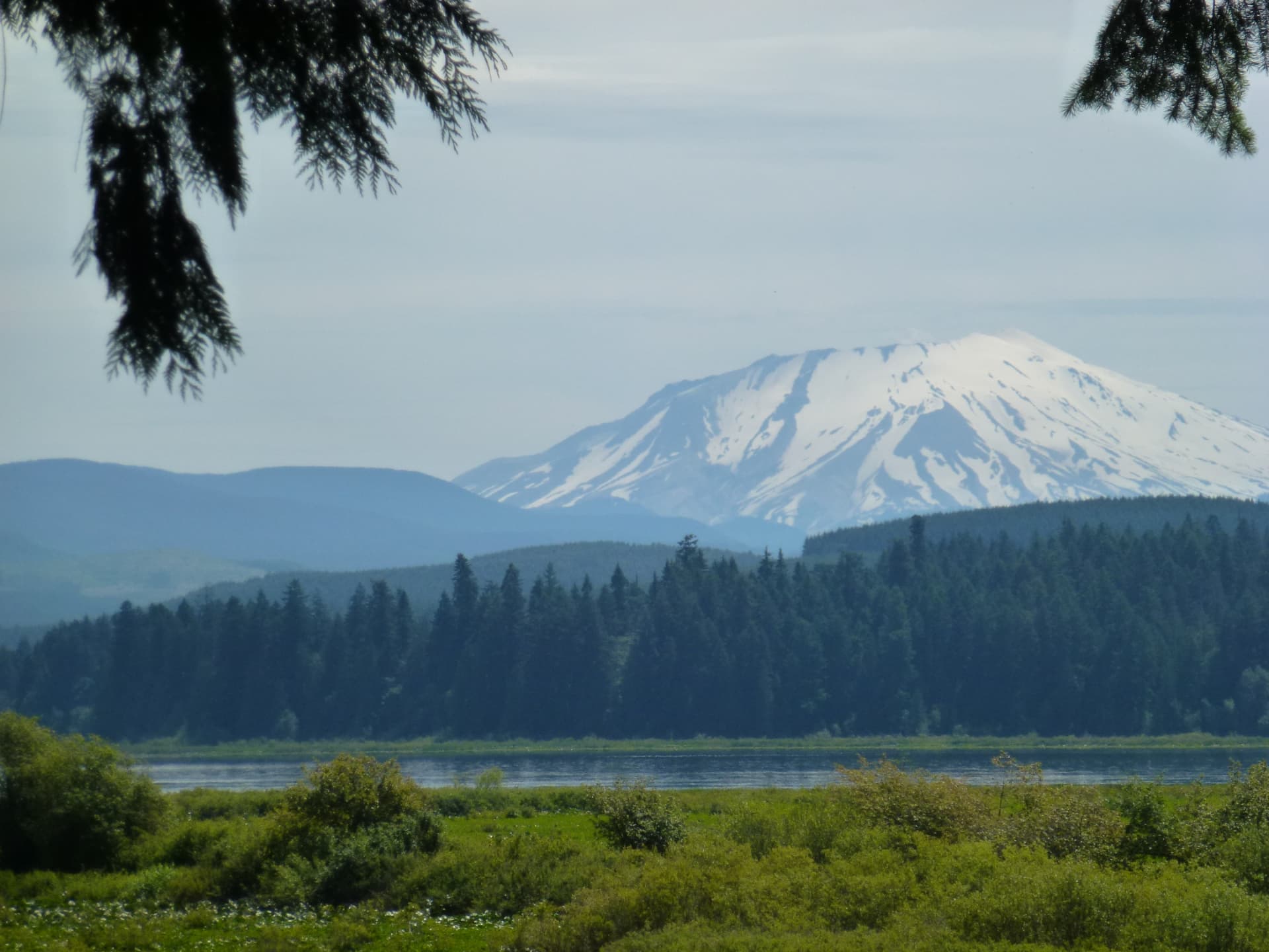 Besneeuwde Mount St. Helens boven naaldbossen en een meer in de staat Washington