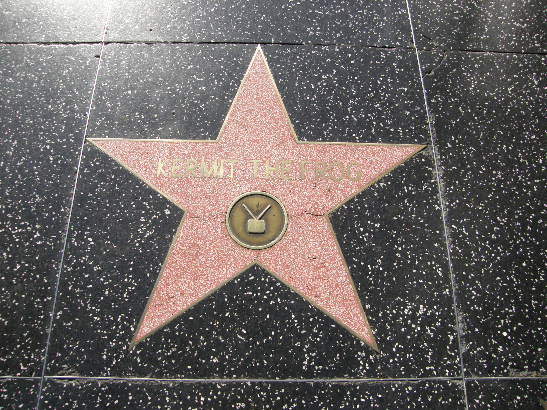 De ster van Kermit the Frog op de Hollywood Walk of Fame