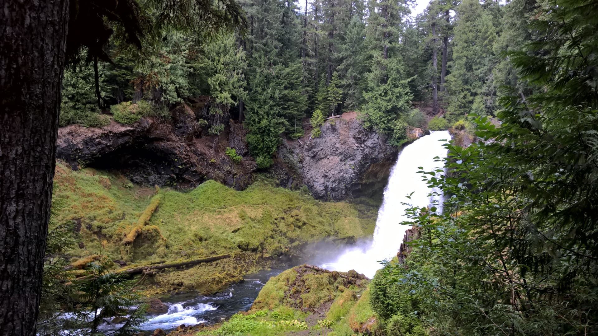 Sahalie Falls stort tussen dennenbomen naar beneden in de McKenzie River in Oregon