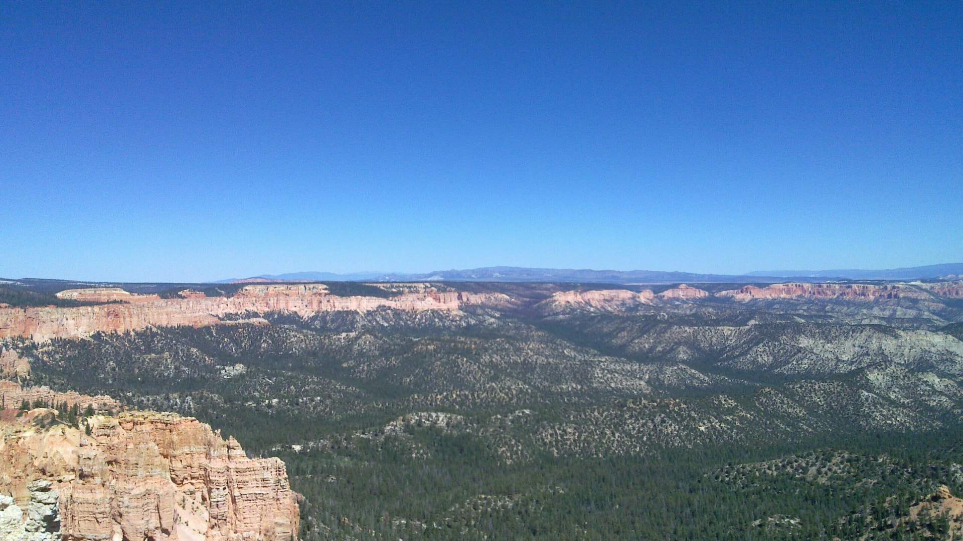 Rode rotsformaties en dennenbossen in Bryce Canyon National Park in Utah