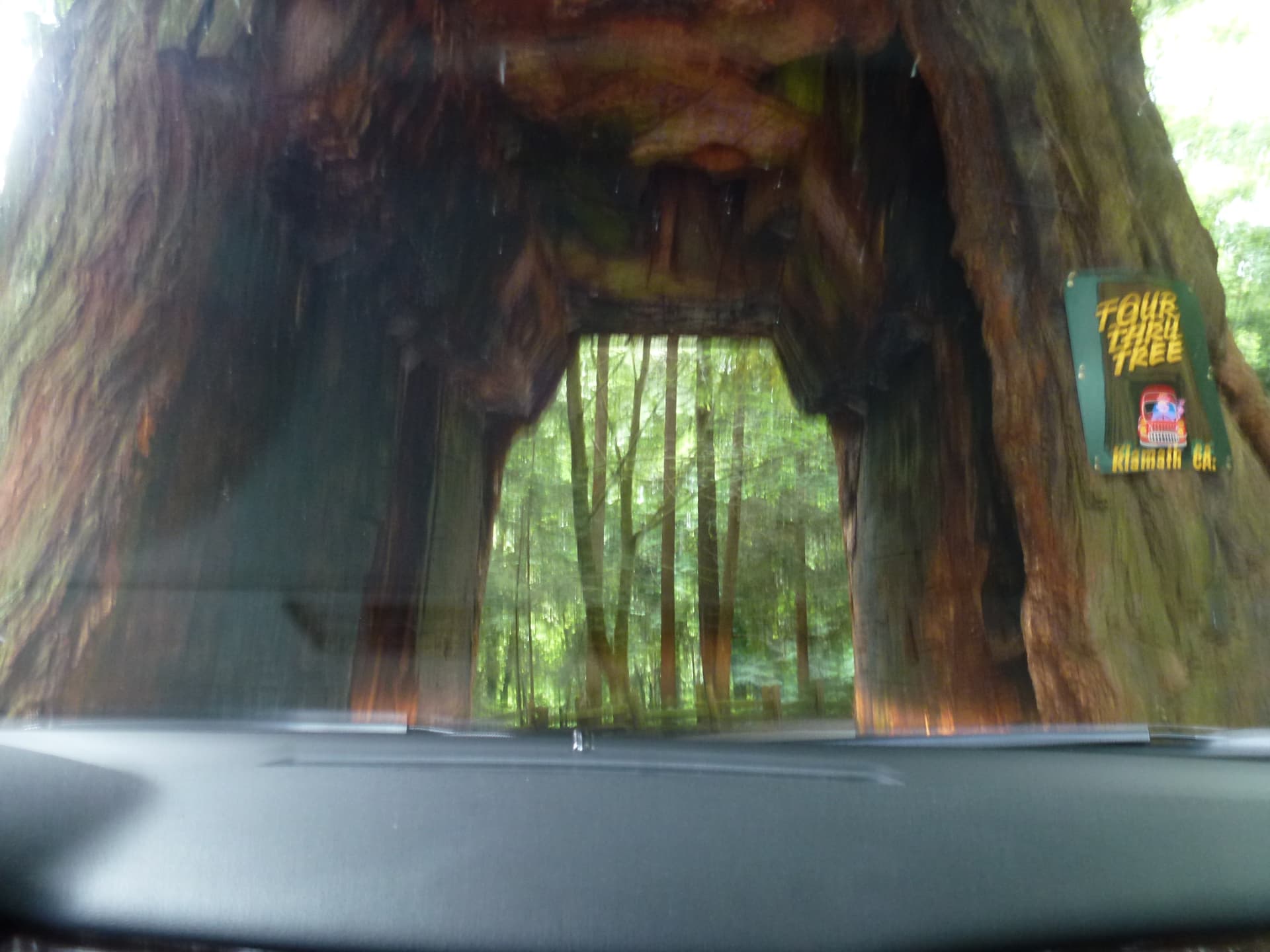 Rijden door de Tour Thru Tree, een uitgeholde reuzensequoia bij Klamath